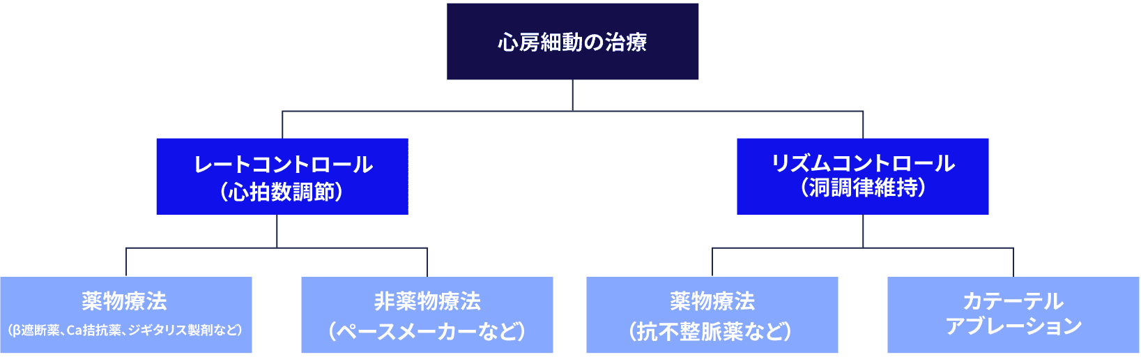 心房細動の治療の図解