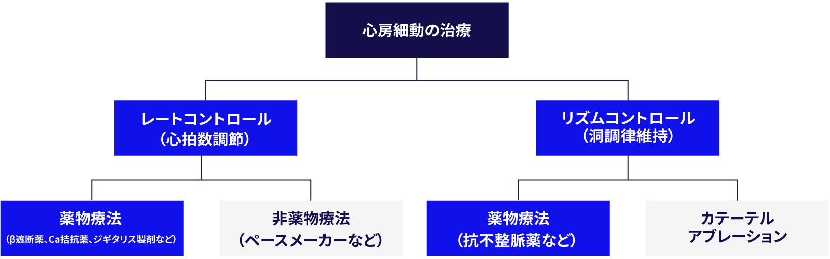 心房細動に対する薬物療法